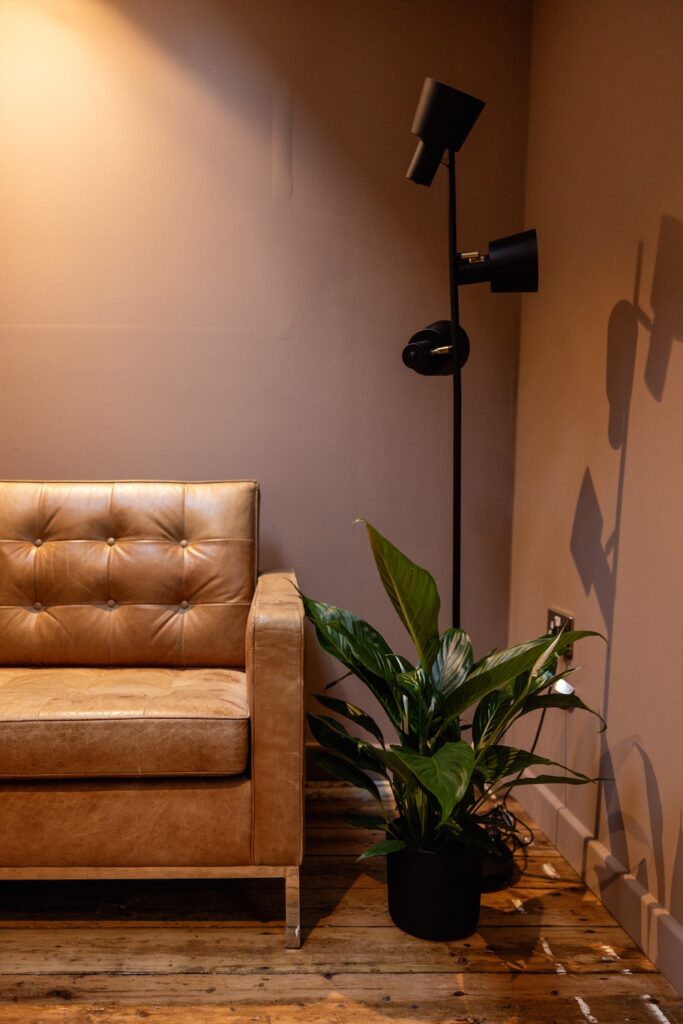 The picture shows the corner of a room. There is the end of a sofa showing on the back wall with a plant next to it. Behind the plant is a modern floor lamp. The colours are warm and inviting.